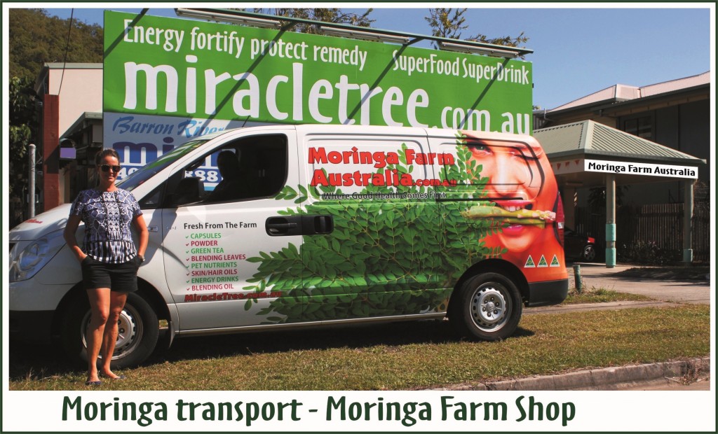 Moringa Australian grown